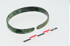 Foto von Bronzebandarmreif (NHMW-PRAE-024993)